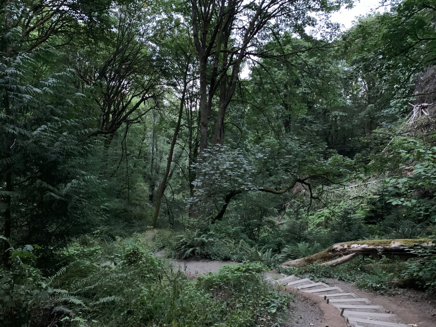 Interlaken Park — Washington Trails Association